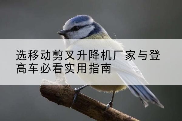 惠城电动升降机厂家-选移动剪叉升降机厂家与登高车必看实用指南