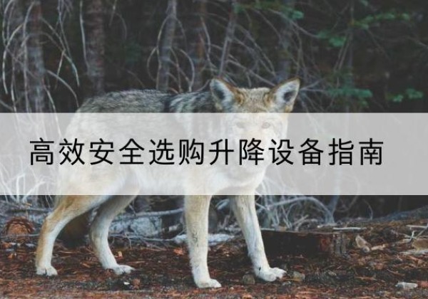 惠城升降货梯厂家推荐-*安全选购升降设备指南