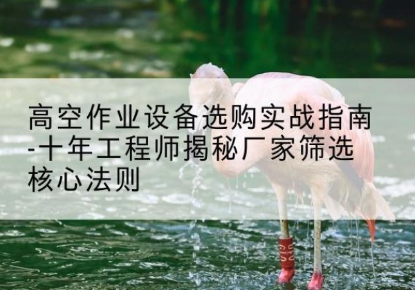 惠城剪叉式升降机厂家-高空作业设备选购实战指南-十年工程师揭秘厂家筛选核心法则